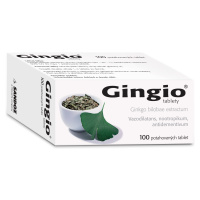 Gingio tablety 40 mg potahované tablety, 100 tablet
