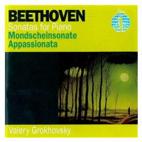 Grokhovsky Valery: Pearls of Classic 11 - CD