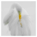 Fotografie Great White Heron High Key Preening, fotoguy22, 40x40 cm