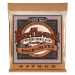 Ernie Ball 2151 Earthwood Phosphor Bronze Rock & Blues