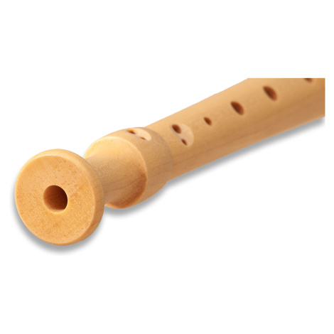 Mollenhauer FIPPLE 17411 Apple green - Sopránová zobcová flétna