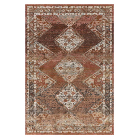 Červeno-hnědý koberec 290x195 cm Zola - Asiatic Carpets