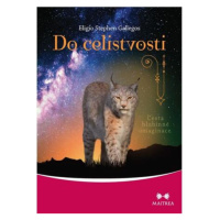 Do celistvosti - Cesta hlubinné imaginace