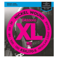 D'Addario ESXL170-5 double ball