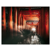 Fotografie Fushimi Inari Shrine, Carmine Chiriacò, 40 × 30 cm