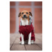 Vsepropejska Argo zateplený svetr pro psa Barva: Šedá, Délka zad (cm): 37, Obvod hrudníku: 46 - 
