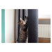 Škrabadlo pro kočky EmaHome CT-178-DG / Deluxe / výška 178 cm / sisalové lano / tmavě šedá/černá