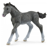 Schleich Hříbě koně trakénského