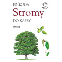 Stromy