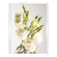 Dekoria Plakát Elegant Flowers, 30 x 40 cm, Volba rámku: Bílý