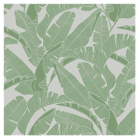 Dekornik Tapeta velké palmové listy šedě zelená 280×100 cm