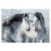 Fotografie Portrait of two spanish grey stallions, Abramova_Kseniya, 40x30 cm