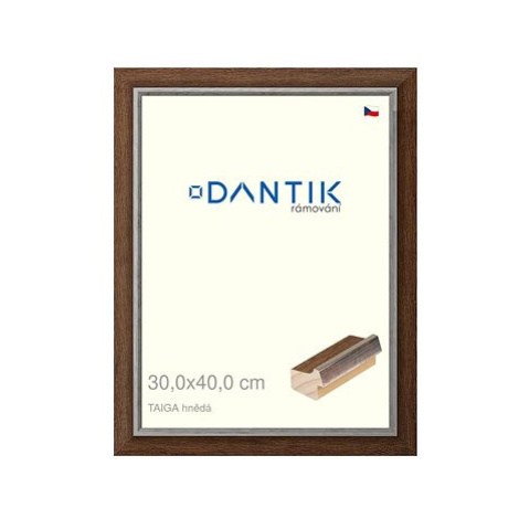 DANTIK rámeček 30 × 40, TAIGA hnědý plexi čiré