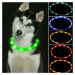 Reedog Easy Light USB dobíjecí svítící obojek pro psy a kočky - modrá