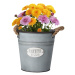 HOMESTYLING Květináč dekorativní NATURE 21,5 x 20,5 cm KO-FZ3000650