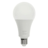 RETLUX RLL 663 A80 E27 bulb 20W CW D