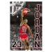 Plakát, Obraz - Michael Jordan, (61 x 91.5 cm)