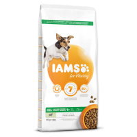 IAMS Dog Adult Small & Medium Lamb 12 kg