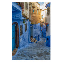 Fotografie Chefchaouen , Morocco, Silvia Zecchin, 26.7 × 40 cm