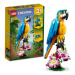 LEGO® Creator 3v1 31136 Exotický papoušek