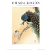 Umělecký tisk Ohara Koson - Peacock on a Cherry Blossom Tree, Ohara Koson, (30 x 40 cm)