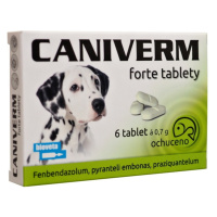 CANIVERM Forte 0,7 g 6 tablet