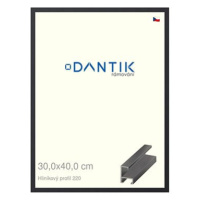 DANTIK rámeček 30 × 40, ALU profil 6220 Černý matný plexi čiré