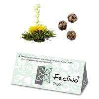 Feelino Čajové květy, 3 odrůdy bílého čaje, jednotlivě balené, velmi produktivní
