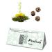 Feelino Čajové květy, 3 odrůdy bílého čaje, jednotlivě balené, velmi produktivní