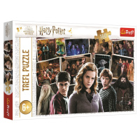 Trefl Puzzle 160 dílků - Harry Potter a přátelé / Harry Potter and the Half-Blood P