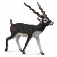 Collecte - Antilopa jelení