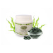 Bio-Detox Spirulina 300g tbl. 1200