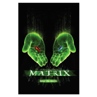 Umělecký tisk Matrix - Choose your path, 26.7x40 cm
