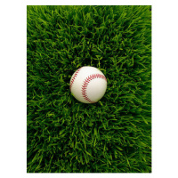 Fotografie Baseball in grass, Chris Stein, 30 × 40 cm