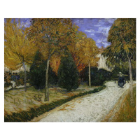 Obrazová reprodukce Path in the Park at Arles, 1888, Vincent van Gogh, 40 × 30 cm