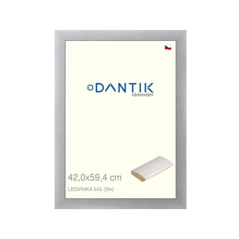 DANTIK rámeček 42 × 59,4, LEDVINKA bílý plexi čiré