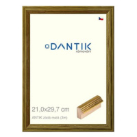 DANTIK rámeček 21 × 29,7, ANTIK zlatý malý sklo čiré