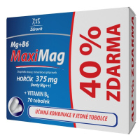 MaxiMag Hořčík 375mg+B6 40% ZDARMA 70 tobolek