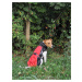 Vsepropejska Heda pláštěnka pro psa Barva: Červená, Délka zad (cm): 31, Obvod hrudníku: 31 - 38 