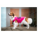 Vsepropejska Zala letní tričko pro psa Barva: Růžová, Délka zad (cm): 23, Obvod hrudníku: 28 - 3