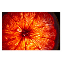 Umělecká fotografie Mature orange fruit slice back lit, Stefan Cristian Cioata, (40 x 26.7 cm)