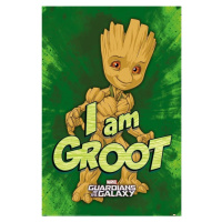 Plakát Guardians of the Galaxy - I am Groot (270)