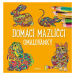 Domácí mazlíčci - omalovánky, 2.  vydání - Julie Bezděková