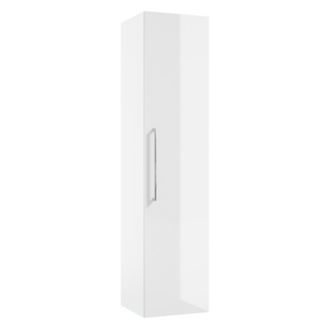 Vysoká koupelnová skříňka DORADO C32 bílá/bílá lesk