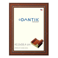 DANTIK rámeček 42 × 59,4, ANGLIE hnědý plexi čiré