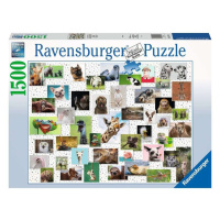 Ravensburger 16711 puzzle funny animals collage 1500 dílků