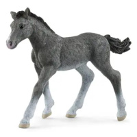 Schleich Zvířátko - hříbě trakénské