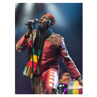 Fotografie Jimmy Cliff, 30 × 40 cm