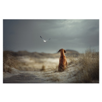 Fotografie FREEDOM, Heike Willers, 40 × 26.7 cm