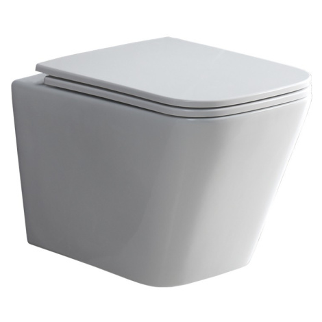 Mereo WC závěsné kapotované, RIMLESS, 490x340x350, keramické, vč. sedátka VSD83S